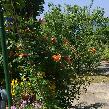 Apartament By The Sea Podaca, Makarska - 3037 Podaca